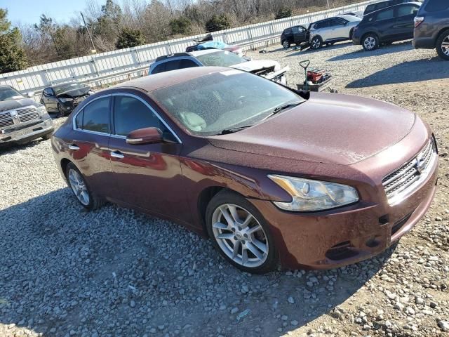 2010 Nissan Maxima S