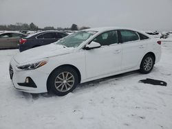 Salvage cars for sale at Pennsburg, PA auction: 2019 Hyundai Sonata SE