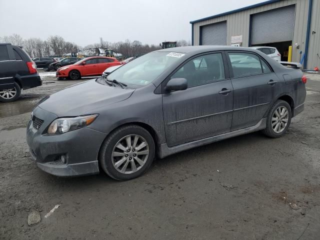 2010 Toyota Corolla Base