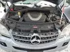 2007 Mercedes-Benz ML 350