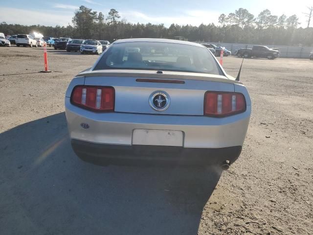 2010 Ford Mustang