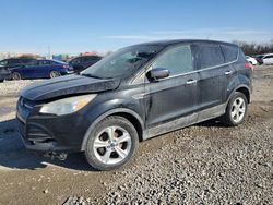 2014 Ford Escape SE en venta en Columbus, OH