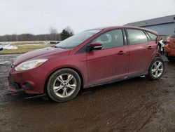 Ford Focus se salvage cars for sale: 2014 Ford Focus SE