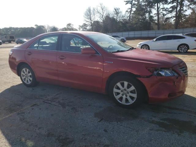 2008 Toyota Camry Hybrid