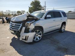 Cadillac salvage cars for sale: 2016 Cadillac Escalade Luxury