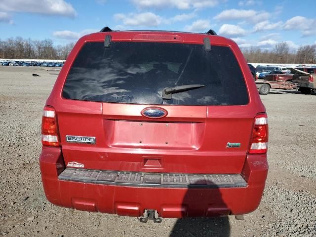 2010 Ford Escape XLT