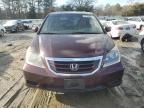 2008 Honda Odyssey EXL