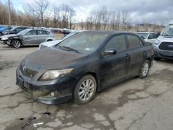 Salvage cars for sale from Copart Marlboro, NY: 2010 Toyota Corolla Base