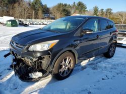 2013 Ford Escape SEL en venta en Mendon, MA