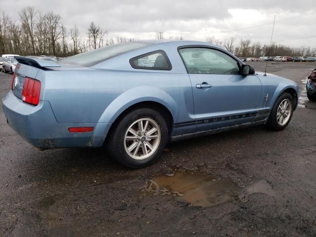 2005 Ford Mustang