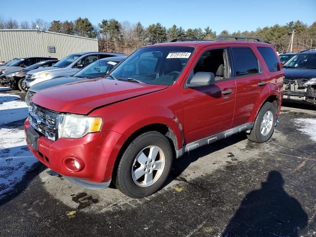 2011 Ford Escape XLT