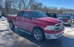 Dodge RAM 1500 salvage cars for sale: 2011 Dodge RAM 1500