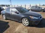 2008 Honda Accord EX