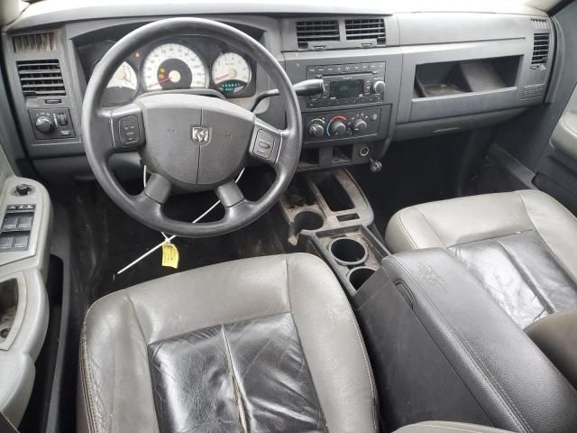 2008 Dodge Dakota SXT