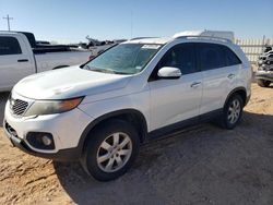 Salvage cars for sale at Andrews, TX auction: 2011 KIA Sorento Base