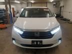 2024 Honda Odyssey EXL