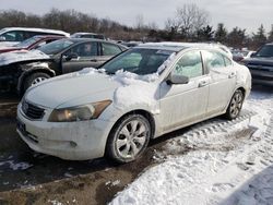 Honda salvage cars for sale: 2009 Honda Accord EXL