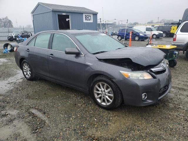 2010 Toyota Camry Hybrid