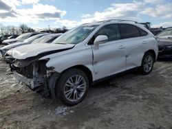 Lexus salvage cars for sale: 2013 Lexus RX 350