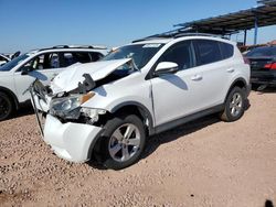 Salvage cars for sale at Phoenix, AZ auction: 2013 Toyota Rav4 XLE