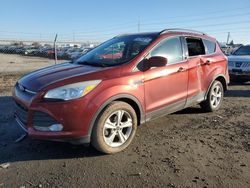 Salvage cars for sale at Eugene, OR auction: 2014 Ford Escape SE