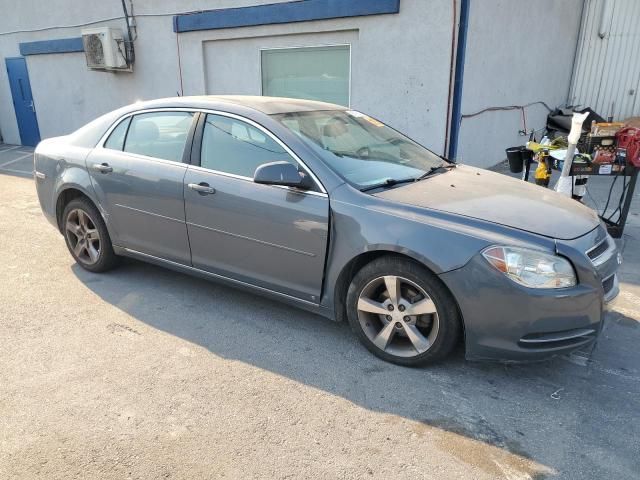 2009 Chevrolet Malibu 1LT