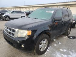 2012 Ford Escape XLT en venta en Louisville, KY