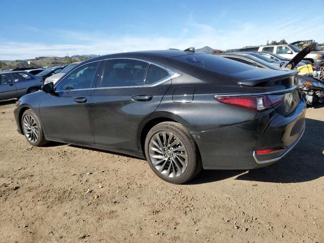 2024 Lexus ES 300H Base