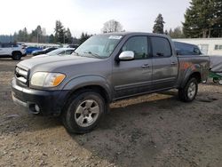 Toyota salvage cars for sale: 2006 Toyota Tundra Double Cab SR5