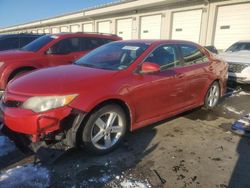 Salvage cars for sale at Louisville, KY auction: 2014 Toyota Camry L