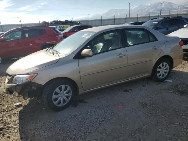 2011 Toyota Corolla Base