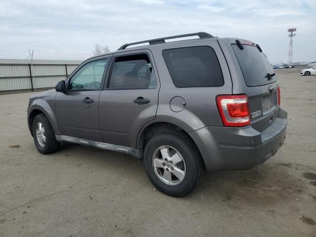 2010 Ford Escape XLT