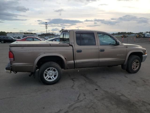 2001 Dodge Dakota Quattro