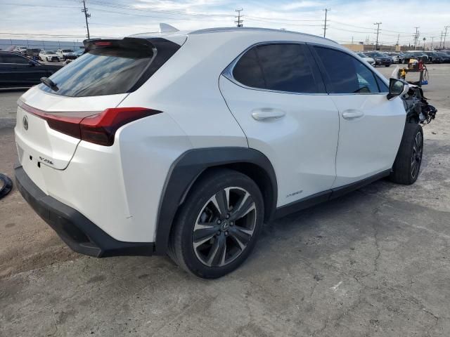 2019 Lexus UX 250H