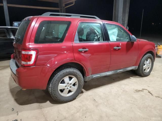 2010 Ford Escape XLS