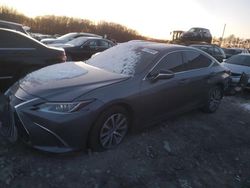 Lexus es250 Vehiculos salvage en venta: 2021 Lexus ES 250 Base