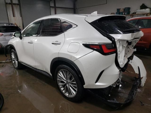 2025 Lexus NX 350H Base