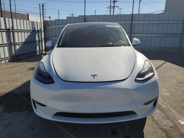 2025 Tesla Model Y