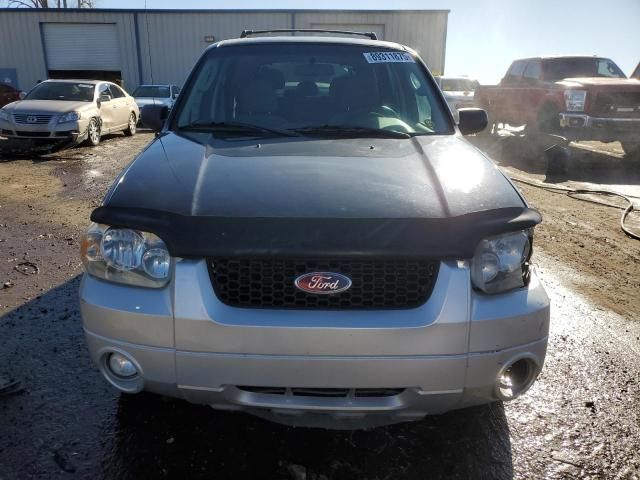 2007 Ford Escape XLT