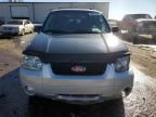 2007 Ford Escape XLT