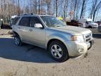 2010 Ford Escape Limited