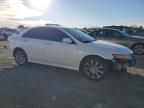 2006 Acura TSX