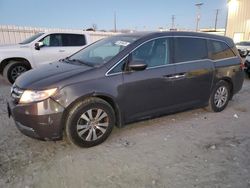 Salvage cars for sale at Appleton, WI auction: 2016 Honda Odyssey EXL