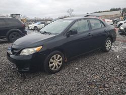 Toyota Vehiculos salvage en venta: 2013 Toyota Corolla Base