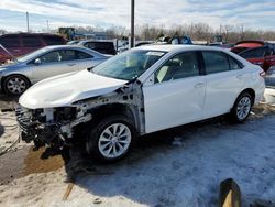 Salvage cars for sale at Louisville, KY auction: 2017 Toyota Camry LE