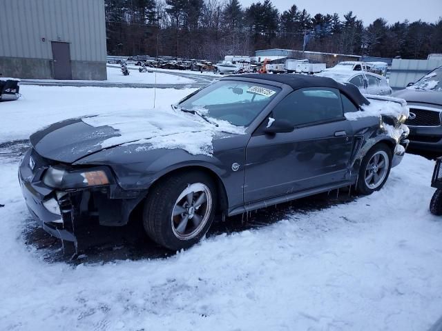 2004 Ford Mustang