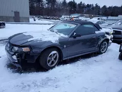 Muscle Cars for sale at auction: 2004 Ford Mustang