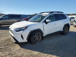 Toyota rav4 Woodl salvage cars for sale: 2023 Toyota Rav4 Woodland Edition