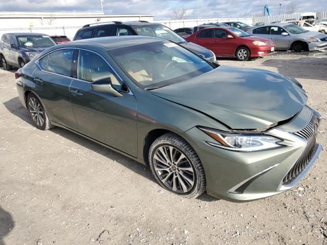 2020 Lexus ES 350