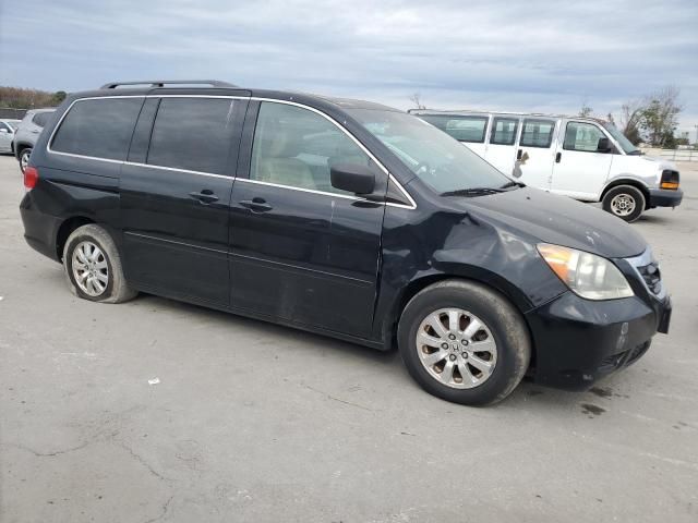 2008 Honda Odyssey EXL